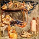 natività-giotto