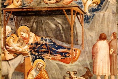 natività-giotto