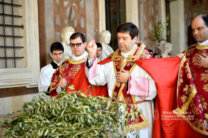 domenica-palme (10)